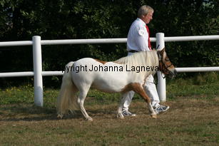lillerosendalsemilie_1710.jpg