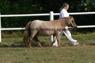 lupina_1714.jpg