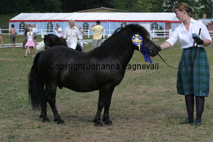 rosbestmanoftransy_1489.jpg