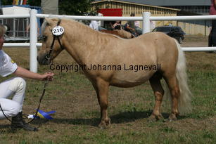 sandbackasmoritz_1464.jpg