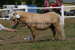sandbackasmoritz_1465.jpg
