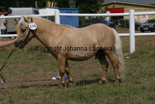 sandbackasmoritz_1466.jpg