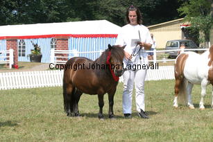 zorro_1450.jpg