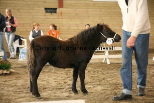 almnasxxx_5983.jpg