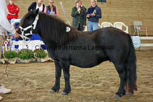 annelundsassiri_5974-2.jpg