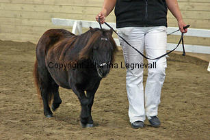 enya_6003-2.jpg