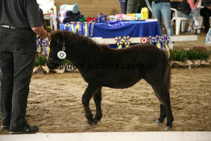 froja_5984.jpg
