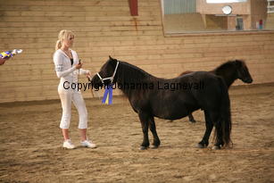furunashenrietta_6015.jpg