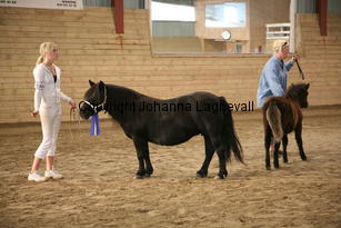 furunashenrietta_dalsgardslorenzo_6014.jpg