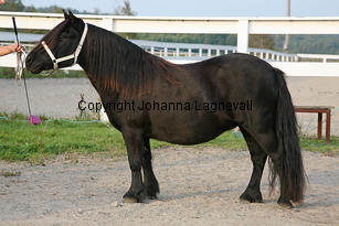 joukevdbolster_6022-2.jpg