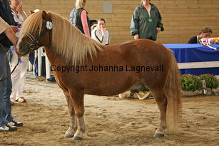 junibackensrasmus_5998-2.jpg