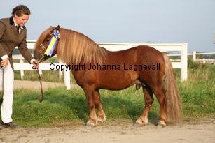 kyllemoseros_5986.jpg