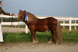 kyllemoseros_5988.jpg
