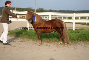 kyllemoseros_5991.jpg