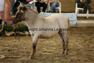 lundstorpsblond_5985-2.jpg