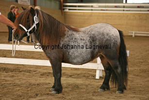 sagascyndie_6001-2.jpg