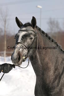 bocaccioarden_5477.jpg