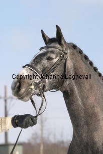 bocaccioarden_5479.jpg