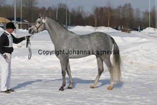 bodethalsnotrepetite_5451.jpg