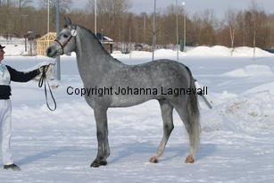 bodethalsnotrepetite_5453.jpg