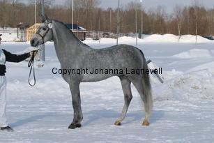 bodethalsnotrepetite_5454.jpg