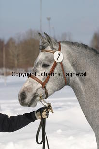 bodethalsnotrepetite_5457.jpg