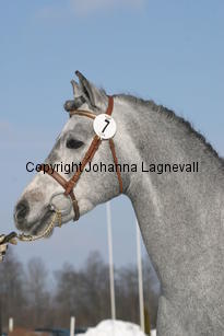 bodethalsnotrepetite_5462.jpg