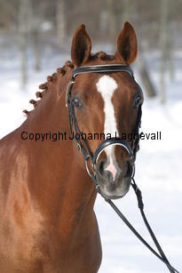 egpauli_5436.jpg