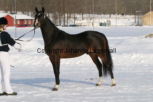 fen-he_5370.jpg