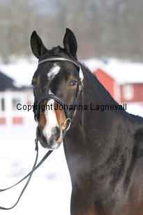 fen-he_5375.jpg