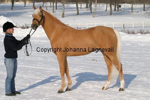 jarno_5394.jpg