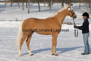 jarno_5407.jpg