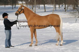jarno_5409.jpg
