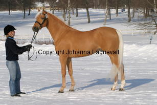 jarno_5410.jpg