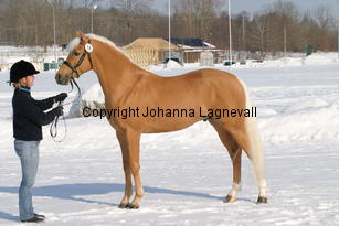 jarno_5414.jpg