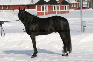 magicdancer_5443.jpg