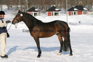 pondus_5380.jpg