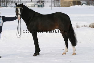 valdo_5494.jpg
