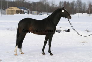 valdo_5497.jpg