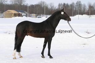 valdo_5498.jpg