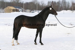 valdo_5499.jpg