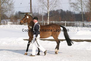 vitanovashanassie_5524.jpg