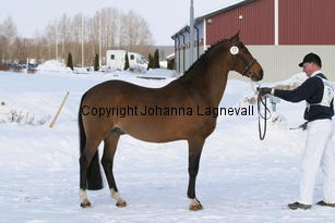 vitanovashanassie_5528.jpg