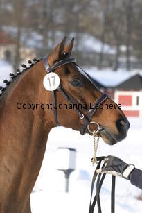 vitanovashanassie_5531.jpg