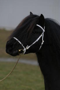 alvenslatcho_6285.jpg