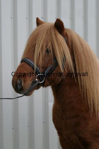 jamesherriot_6282.jpg