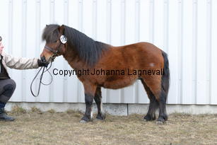 kronbladsleonardo_6250.jpg