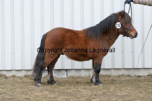 kronbladsleonardo_6254.jpg