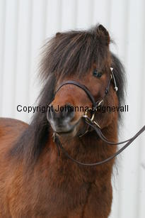kronbladsleonardo_6260.jpg