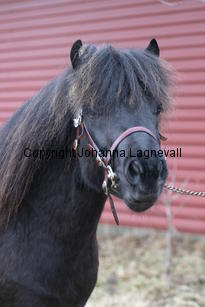 linnestoftameatloaf_6333.jpg
